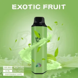 BRISK BAR EXOTIC FRUIT – 5000 PUFFS