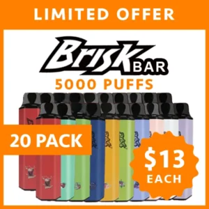 BRISK BAR – 5000 PUFFS – 20 PACK