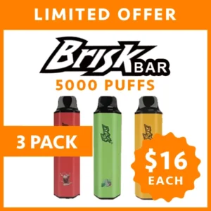 BRISK BAR – 5000 PUFFS – 3 PACK