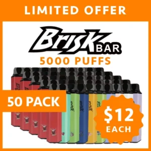 BRISK BAR – 5000 PUFFS – 50 PACK